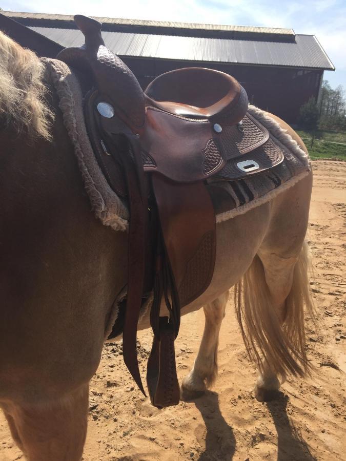 Stegemans Horse And Country Lodge *