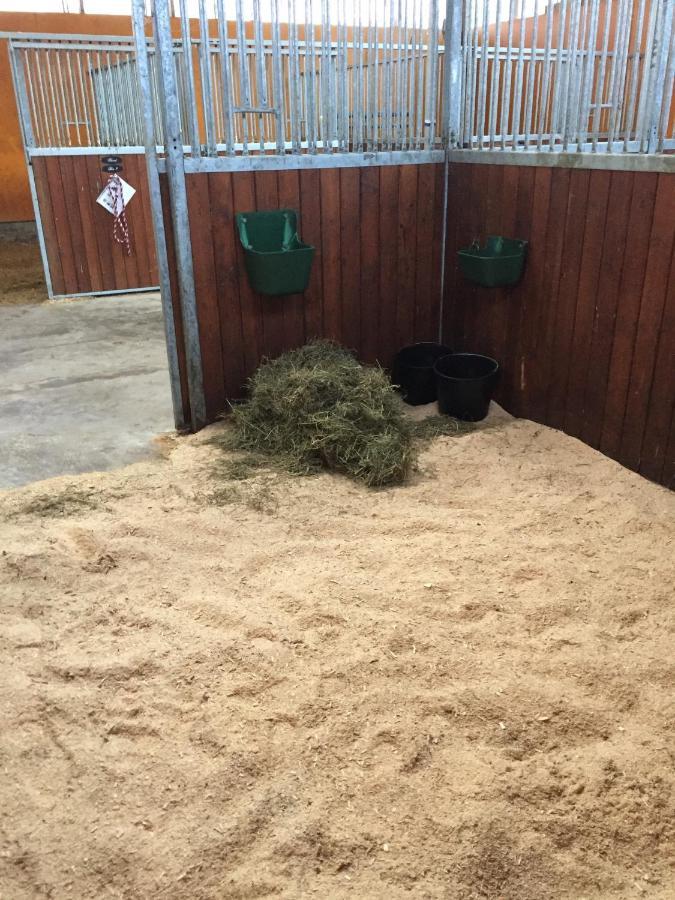 Stegemans Horse And Country