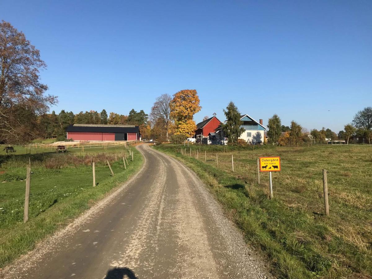 Stegemans Horse And Country * Ljungby (Kronoberg)