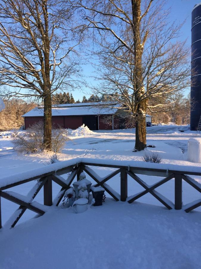 Stegemans Horse And Country Ljungby (Kronoberg)